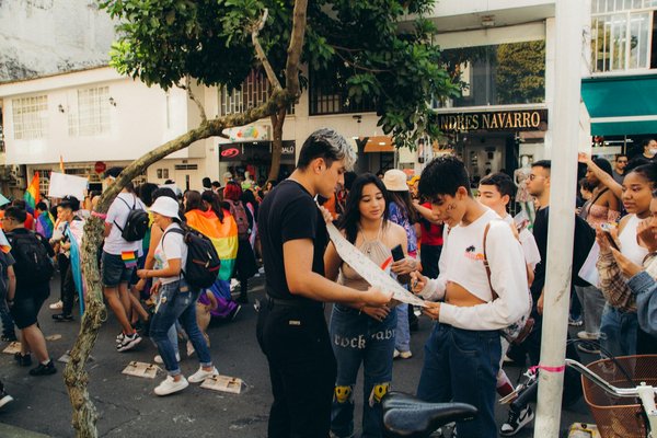 Guide d'achat des outils de désherbage incontournables