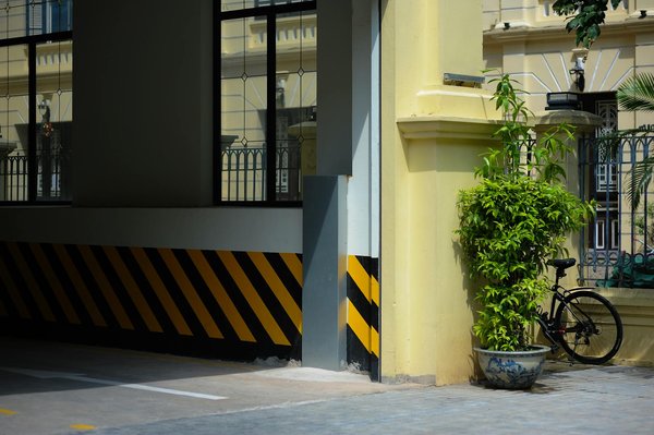 Apprendre à s'occuper de son chien : conseils essentiels